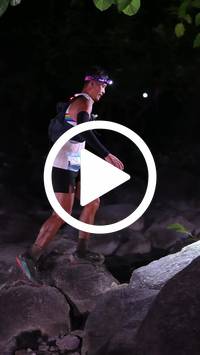 BIB:  <button type="button" onclick="openModal(28063867)" class="btn btn-primary btn-sm float-right" data-toggle="modal" data-target=".modal-high-quality">
                <i class="fa fa-download"></i> Download
                </button>